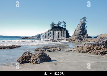 Wunderbare Brady Strandblick im sonnigen Tag 2, Bamfield, BC Stockfoto