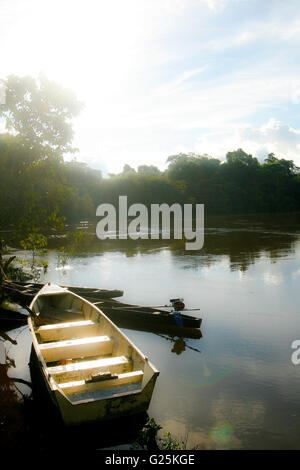 Remoyacu. Matses reservieren. Amazon. Peru Stockfoto