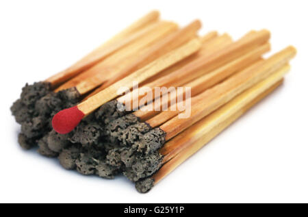 Verbrannte Streichholz mit einem roten unter der Leitung eines auf weißem Hintergrund Stockfoto