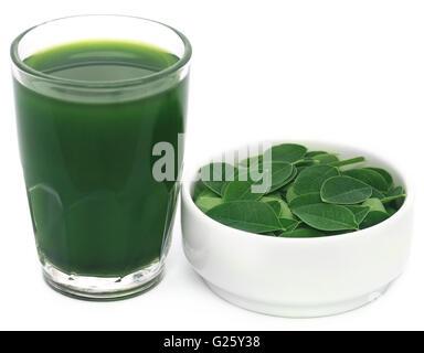 Moringa Blätter mit Extrakt in einem Glas auf weißem Hintergrund Stockfoto