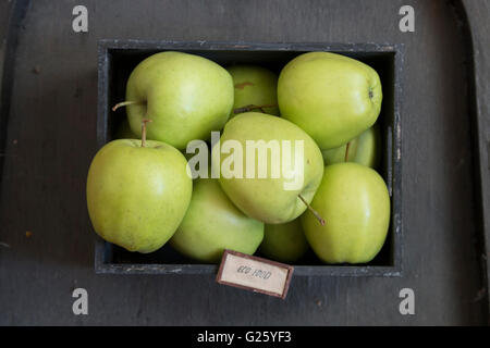 Öko Lebensmittel Idee, grüne Äpfel auf einem schwarzen Tisch Stockfoto