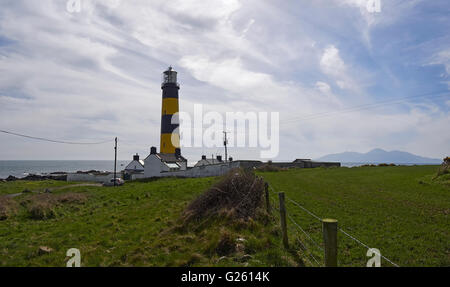 St Johns Point Lighthouse in Killough County Down Nordirland die Mourne Mountains im Hintergrund Stockfoto