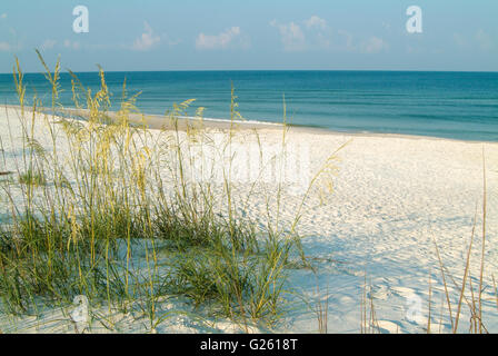 Weißen Sand Strände von St. Joseph Peninsula State Park, FL. Stockfoto