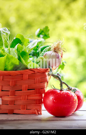 Geflochtenen Korb voller frisches Gemüse auf Holzoberfläche mit Tomaten im Fokus daneben. Grüner Hintergrund mit Textfreiraum Stockfoto