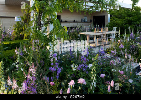 London, UK. 24. Mai 2016. Hesperis, Rosen und Digitalis in einer Blume Bett rund um den LG Smart Garten bei der Chelsea Flower Show 2016, London, UK Credit: Ellen Rooney/Alamy Live News Stockfoto