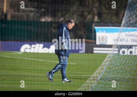 Ezeiza, Argentinien. 24. Mai 2016. Gerardo Martino, der Cheftrainer der Argentinien Fußball-Nationalmannschaft, Spaziergänge in einer Trainingseinheit in der Anlage der Argentinien Fußball-Verband (AFA), Ezeiza Stadt, 32 km von Buenos Aires, der Hauptstadt von Argentinien, am 24. Mai 2016. Argentinien Fußballteam führte ihre Ausbildung vor dem Freundschaftsspiel gegen Honduras am 27. Mai stattfinden. © Martin Zabala/Xinhua/Alamy Live-Nachrichten Stockfoto