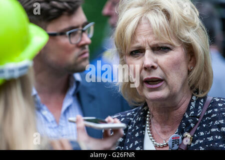 London, UK. 25. Mai 2016. Anna Soubry MP, Minister für Kleinunternehmen, außerhalb des Parlaments nach Hunderten von Steelworkers marschierten durch Westminster weiterhin den Druck auf Tata und die Regierung Großbritanniens Stahlindustrie zu retten. Bildnachweis: Mark Kerrison/Alamy Live-Nachrichten Stockfoto