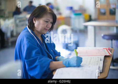 Krankenschwester an einer Workstation in einer Gemeinde, die Beantwortung von Anfragen und medizinische Unterlagen Stockfoto