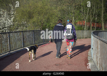 junge Frau und Mann zu Fuß Hund über die Fußgängerbrücke in die Stadt Glasgow, Scotland, UK. Glasgow, Schottland. Stockfoto