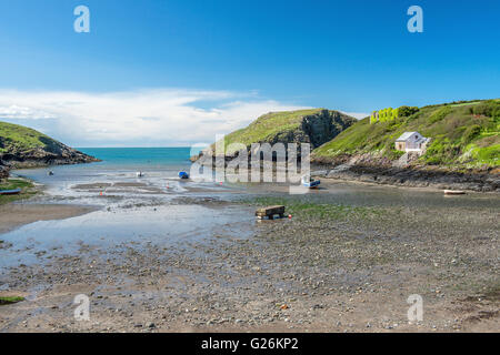 Strand von Abercastle an der Küste von Pembrokeshire Coast National Park, West wales Stockfoto