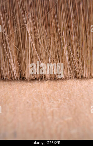 Bürsten ein Eukalyptus Holzoberfläche. Hintergründe und Texturen Stockfoto