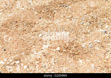 Natürliche Struktur mit vielen kleinen defekten Korallen, Muscheln und Sand am Strand Stockfoto