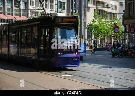 Eine Straßenbahn in den Haag Stockfoto