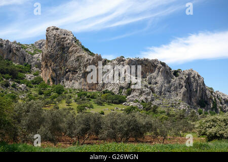 Sierra de Camarolos, bekannt für Klettern, Andalusien, Südspanien. Stockfoto