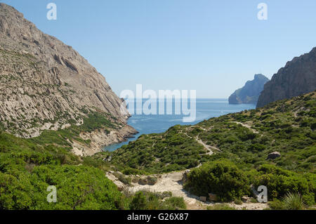 Cala Boquer einer abgelegenen Bucht in der Nähe von Porto Pollensa Stockfoto