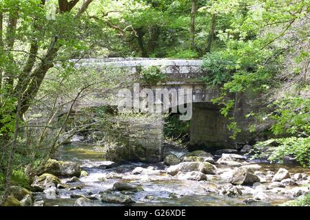 Shaugh Brücke, Fluß Plym, Shaugh Prior, Dartmoor Nationalpark Stockfoto