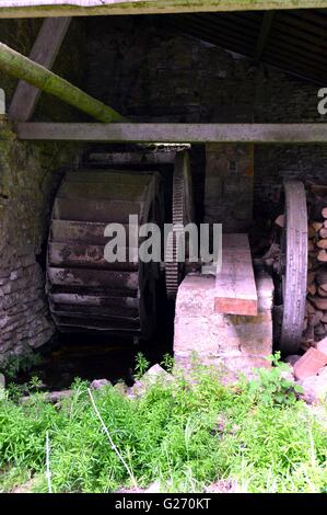 Altes Rad mit hölzernen Wasser- und Fer Dans eine alte Scheune. Stockfoto