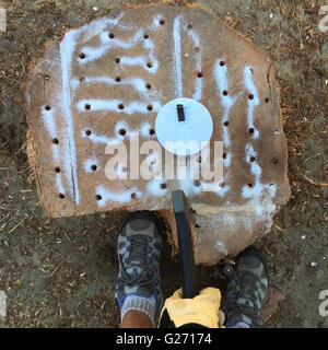 Weibchen bohrt Löcher in einem Baumstumpf Palm, füllt Löcher mit Salz, dann mit einer Hand Axt hackt. Stockfoto