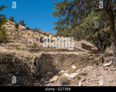 Gordon Hirabayshi Recreation Site, Catalina Federal Ehre Camp. Mount Lemmon, Santa Catalina Mountains in der Nähe von Tucson, Arizona. Stockfoto