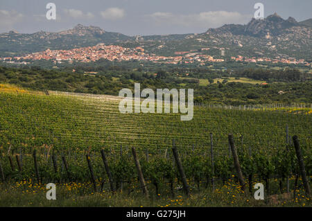 Blick von den Weinbergen des Capichera Weingut auf Arzachena (Sardinien) Stockfoto