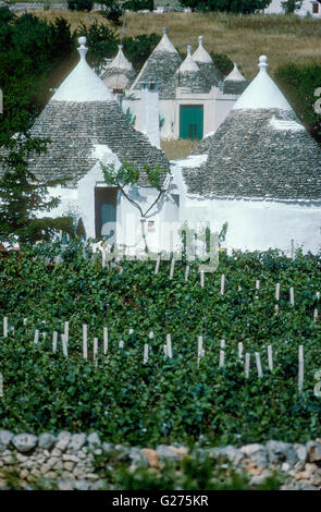 Traditionelle apulische Trockenmauern Hütten, "Trulli" in der Nähe von Lecce (Apulien) Stockfoto