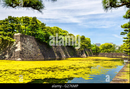 Wassergraben rund um den Kaiserpalast in Tokio Stockfoto