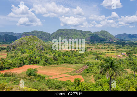 Panorama von Vinales Tal, Kuba Stockfoto