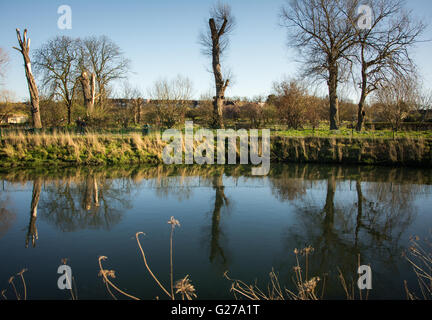 Natur in Herrschaft Spielgelände in Tottenham, Nord-London, UK Stockfoto