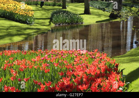 Park Blumengarten Ansicht weltberühmten Keukenhof Bett Japan Grünfärbung Hokkaido Biei Sommer Blumen Denkmäler Natur gelbe Schönheit sprin Stockfoto