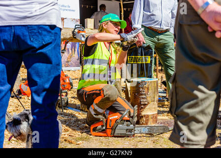 Emmaboda, Schweden - 13. Mai 2016: Wald und Traktor (Skog Och Traktor) fair. Weibliche Lehrer informieren über Sicherheit bei der Arbeit Stockfoto