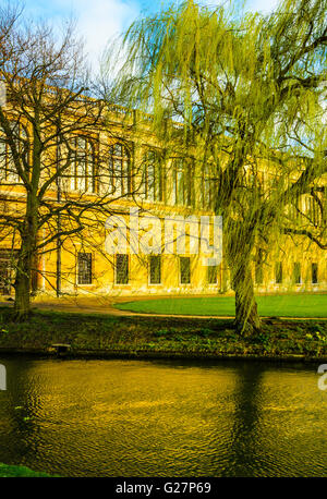 Hintere Fassade der Wren Library am Trinity College in Cambridge, England gesehen über den Fluss Cam Stockfoto