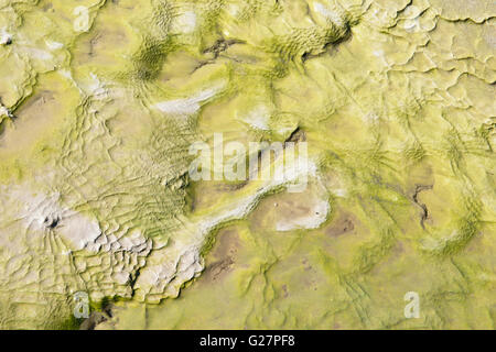 Fließendes Wasser über die Felsen mit Schwefel Einlagen, Wai-o-Tapu Thermal Wonderland, Rotorua, North Island, Neuseeland Stockfoto