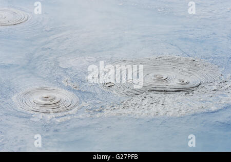 Brodelnde Schlamm, Waiotapu Thermalgebiet, Wai-O-Tapu Thermal Wonderland, Rotorua, Neuseeland Stockfoto