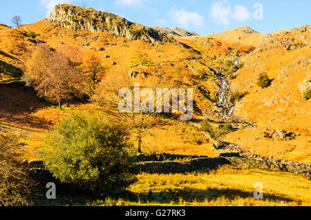 Wasserfälle von saurer Milch Gill oder Ghyll im Tal Easedale in der Nähe von Grasmere im Lake District Stockfoto