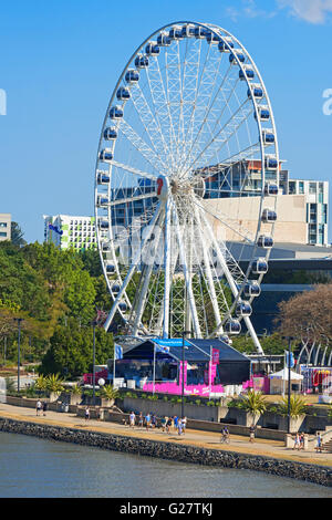 Rad von Brisbane, Brisbane, Queensland, Australien Stockfoto