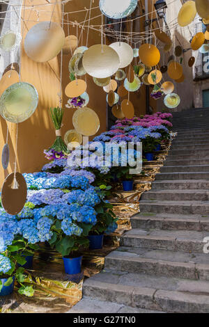 HORTENSIEN IN BLUMENKUNST AUSSTELLUNG IN GIRONA. KATALONIEN. Spanien. Stockfoto