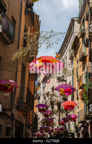 BLUMENKUNST AUSSTELLUNG IN GIRONA. KATALONIEN. Spanien. Stockfoto