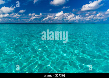 Tropisches Meer, grüne und blaue Lagune Stockfoto