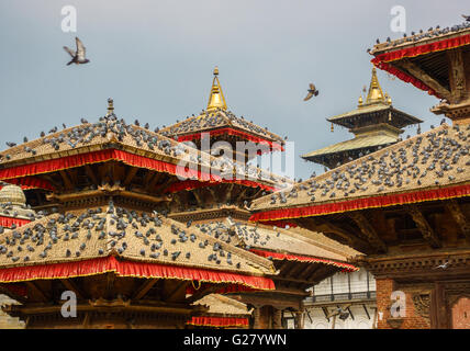 Tauben auf Dächern Tempel in Kathmandu Durbar Square in Nepal. Stockfoto