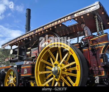 Dampf angetriebene Zugmaschine, Victorial Extravaganza, Llandudo, Wales, UK Stockfoto