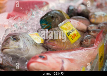 Verschiedene Fische auf Eis für den Verkauf auf dem Markt in Okinawa, Japan. Stockfoto