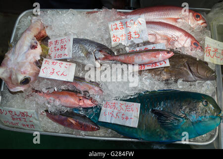 Verschiedene Fische auf Eis für den Verkauf auf dem Markt in Okinawa, Japan. Stockfoto