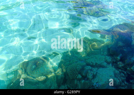 Flachen Wasser Korallen in tropischem Klima. Blick auf die Wasseroberfläche zu verwischen. Andaman Meer. Surin Islands National Park, Thailand Stockfoto