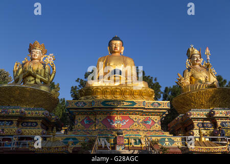 Kathmandu, Nepal - 20. Oktober 2014: Große goldene Statuen in Amideva Buddha Park Stockfoto