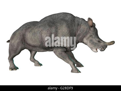 3D-Rendering einer starb Tier Brontotherium auf weißem Hintergrund isoliert Stockfoto