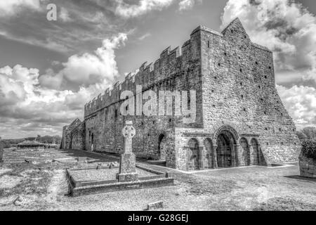 Ardfert Kathedrale, eine zerstörte Kathedrale, in der Nähe von Tralee, County Kerry, Munster-Provinz in der Republik Irland. Stockfoto