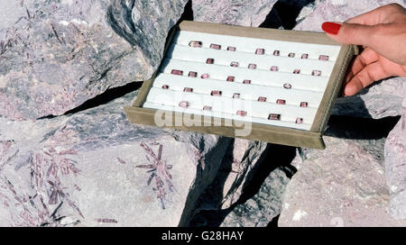 Pink Turmalin Edelsteine sind im Freien, nachdem er angezeigt, geschliffen und poliert nach ihrer Entdeckung in der Stewart-Mine bei Pala in San Diego County in Kalifornien, USA. Die Halbedelsteine wurden zuerst im Jahre 1890 gefunden obwohl Turmaline in Maine bereits als 1822 entdeckt wurden. Kalifornien und Maine produziert die meisten der Welt Edelsteinqualität Turmaline in den frühen 1900er Jahren. Dieses Tablett mit geschnittenen Steinen findet sich in der Nähe von Felsen mit rosa Lepidolith, farbige verschiedener kristallisierte Silikatmineralien genannt Glimmer, die auch bei der Stewart-Mine gefunden wird. Stockfoto