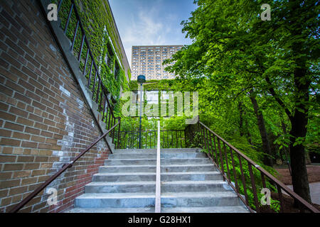 Treppen und Gebäude an der Ryerson Universität in Toronto, Ontario. Stockfoto