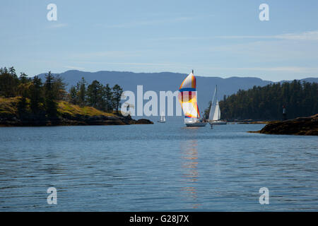 Saliboat Segeln zwischen den Inseln an der Sunshine Coast von BC in der Nähe von Pender Harbour, Kanada Stockfoto