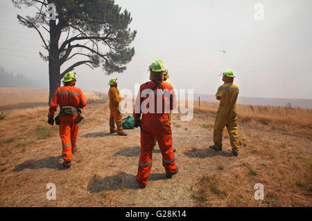 New Zealand Feuerwehrleute bei einem großen Feuer in der Nähe von Blenheim, Marlborough Stockfoto